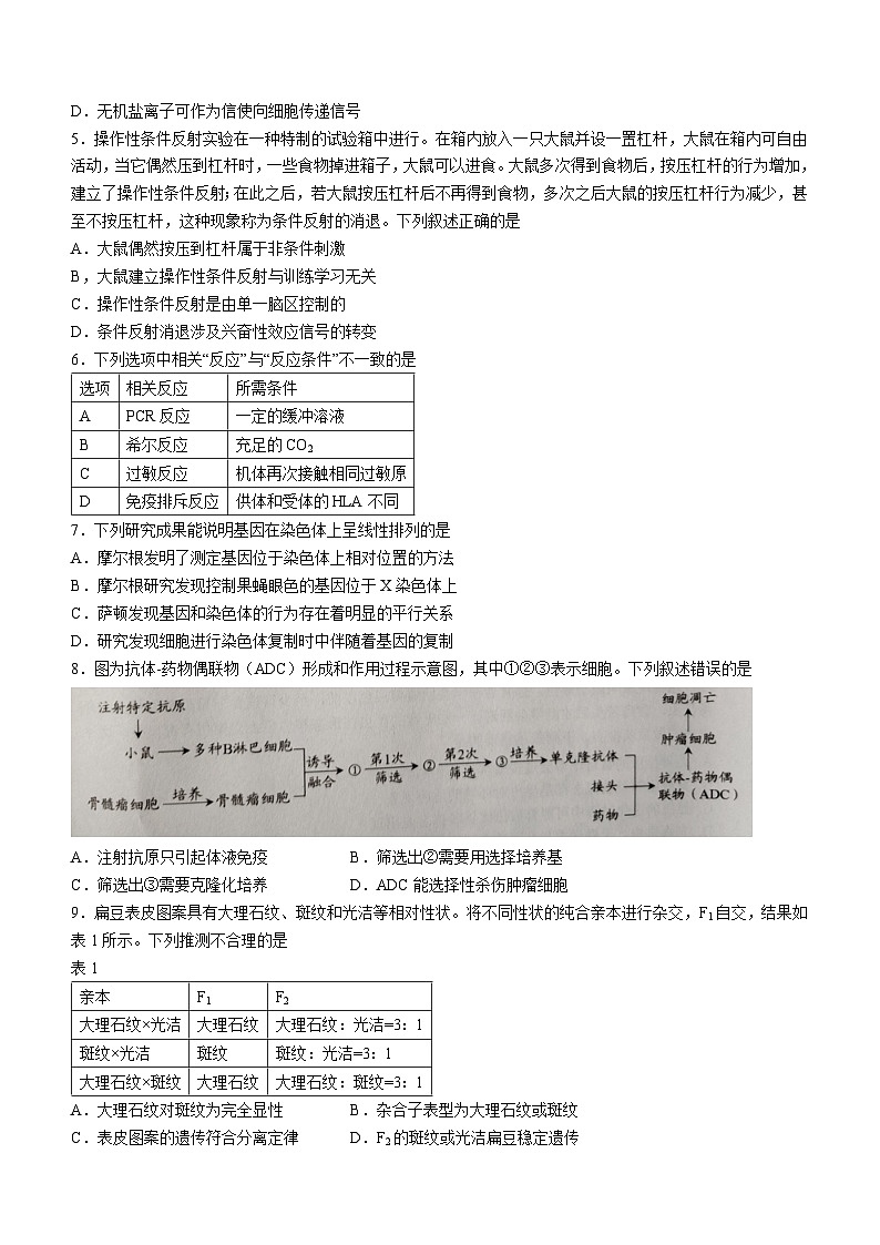 2024汕头高三下学期第一次模拟考试生物含答案02