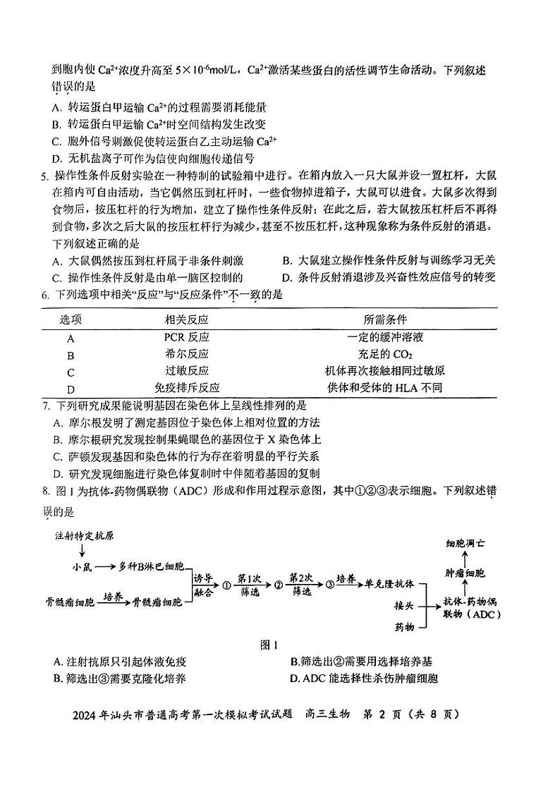 2024汕头高三下学期第一次模拟考试生物含答案02