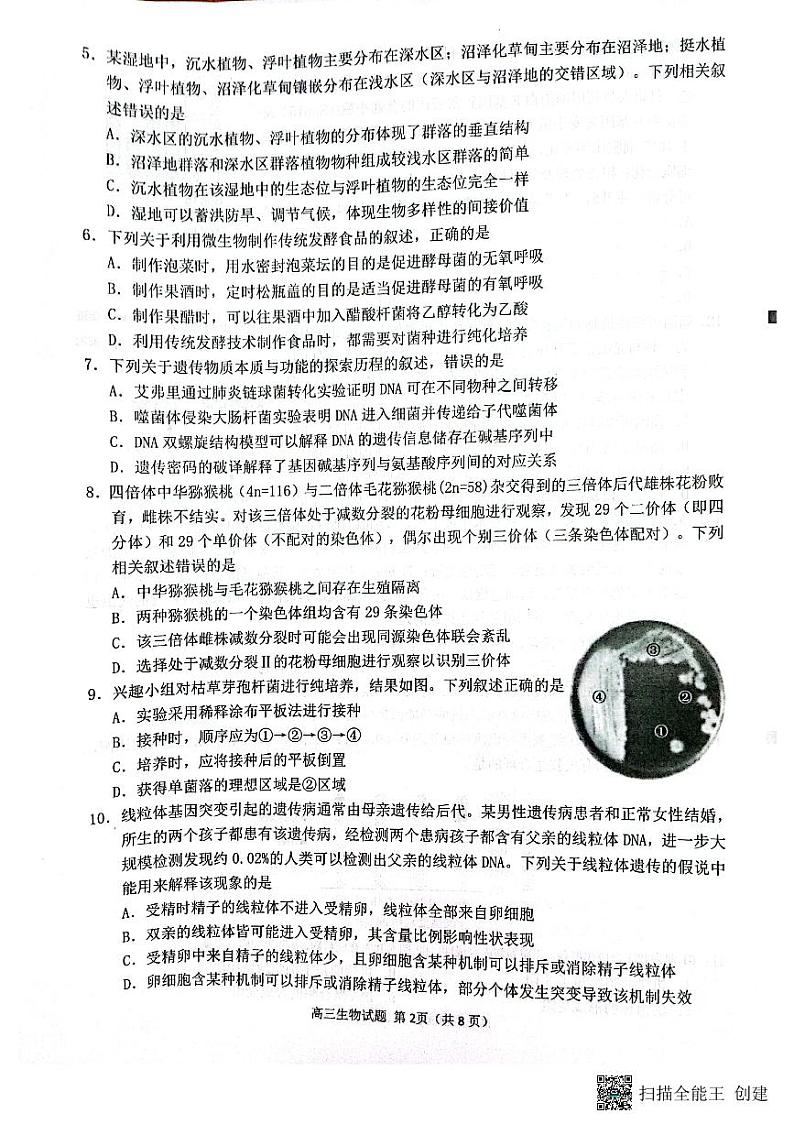 福建省2024届泉州市高三下学期毕业班质量监测（三）生物试题第2页