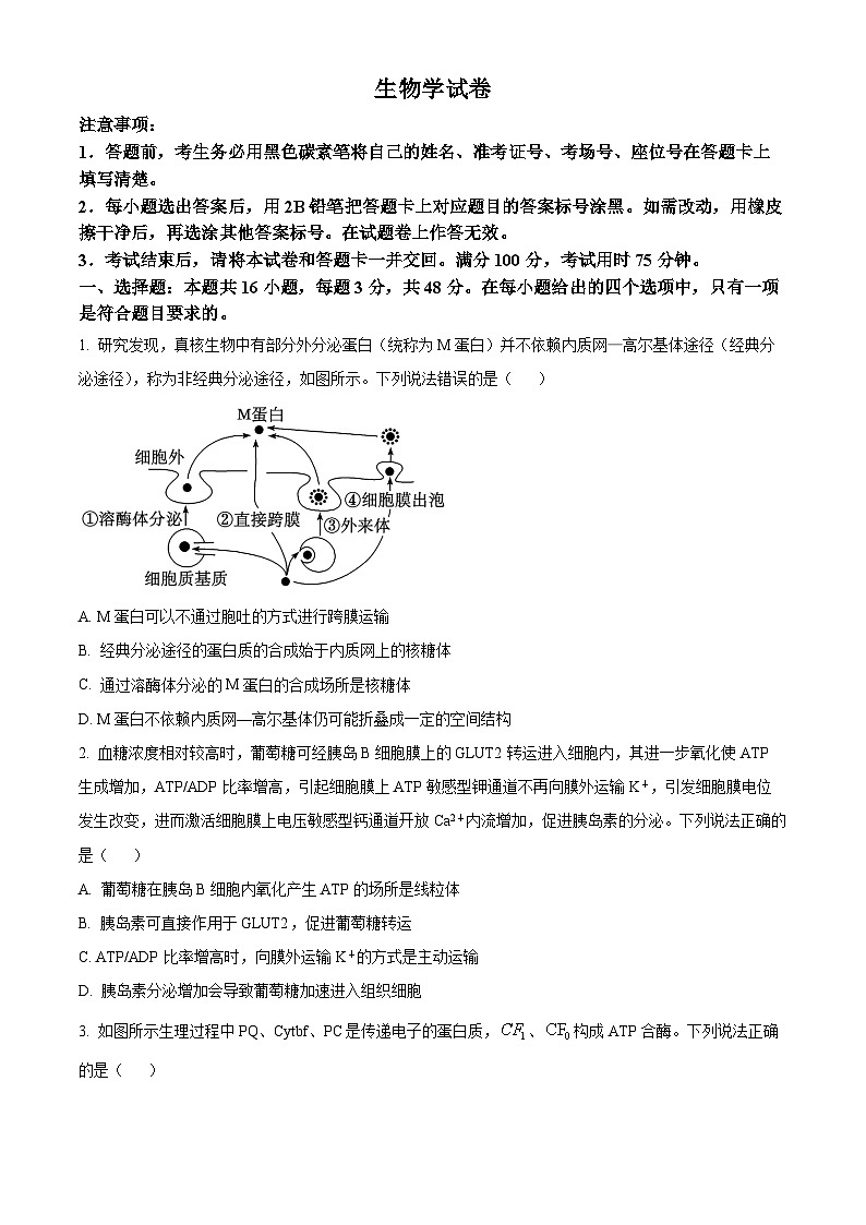 贵州省贵阳市第一中学2023-2024学年高三下学期一模考试 生物第1页
