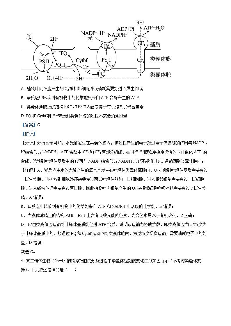 贵州省贵阳市第一中学2023-2024学年高三下学期一模考试 生物答案03