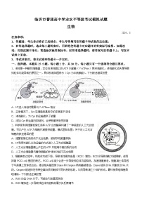 2024届山东省临沂市高三一模考试 生物试题(无答案)