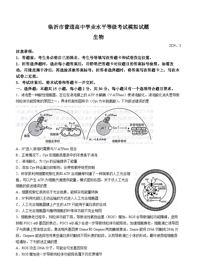 2024届山东省临沂市高三一模考试 生物试题(无答案)01
