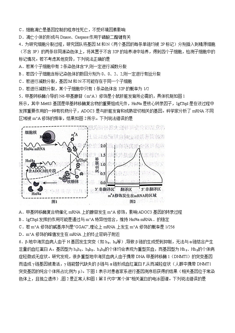 2024届山东省临沂市高三一模考试 生物试题(无答案)02