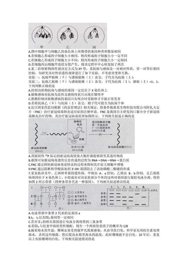 2024年九师联盟高三下学期开学考（新高考）生物试题及答案02