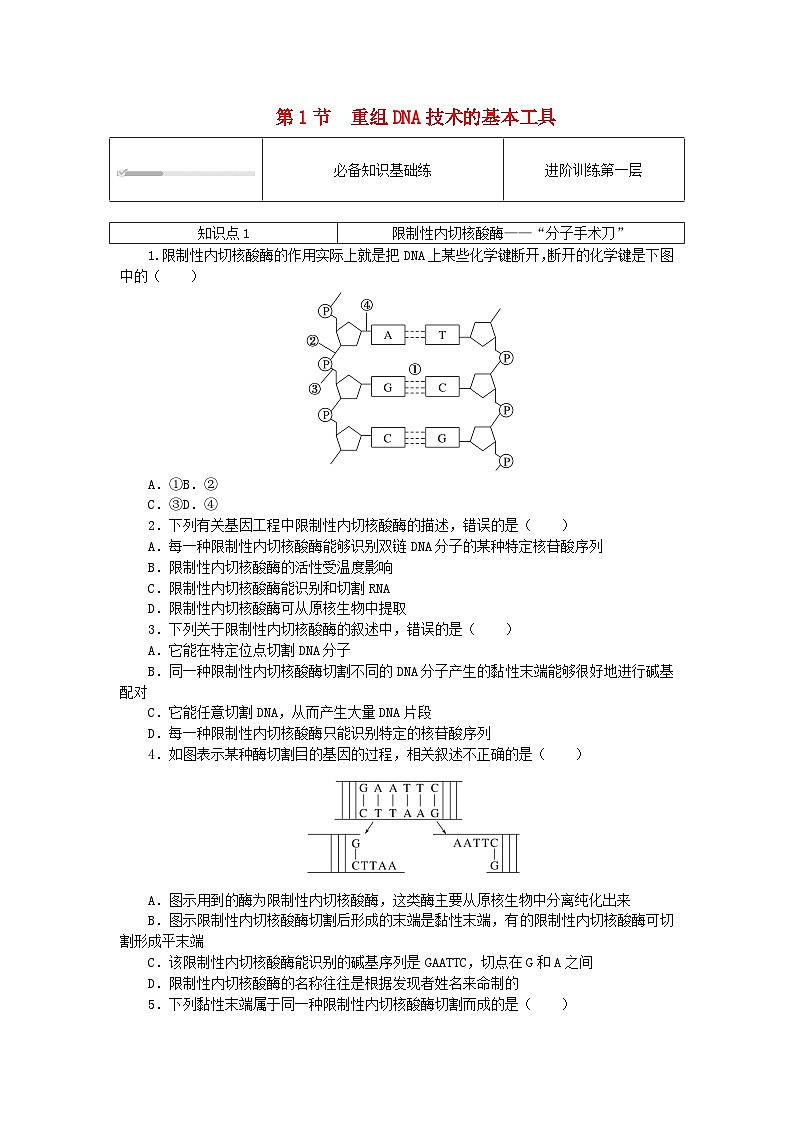 2023版新教材高中生物第3章基因工程第1节重组DNA技术的基本工具课时作业新人教版选择性必修3第1页