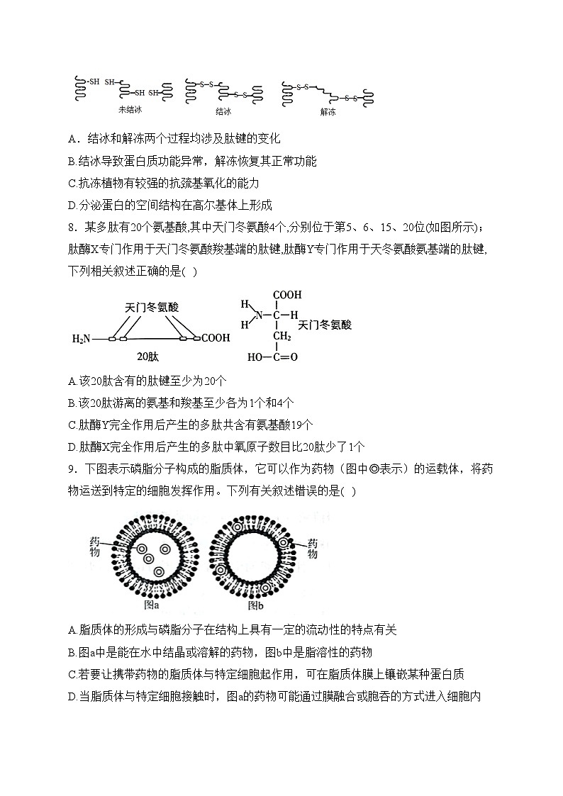 河南省光山县第二高级中学2022-2023学年高二下学期7月期末考试生物试卷(含答案)第3页