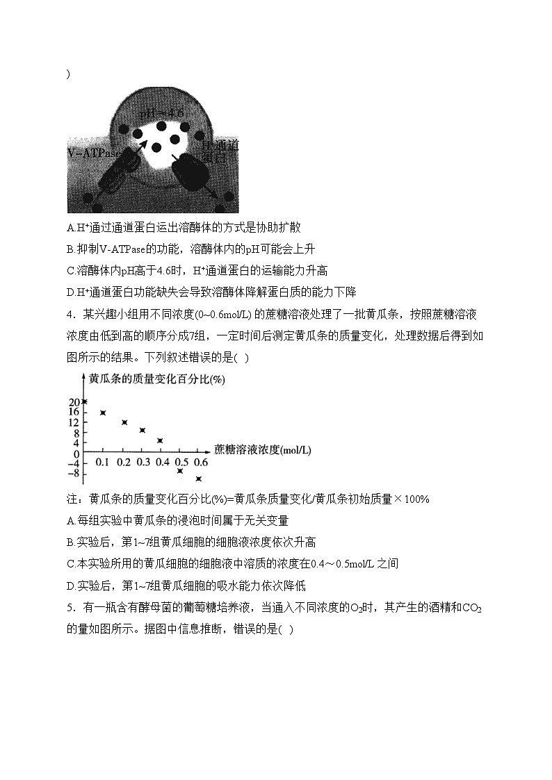 济南市历城第二中学2024届高三上学期入学测试生物试卷(含答案)第2页