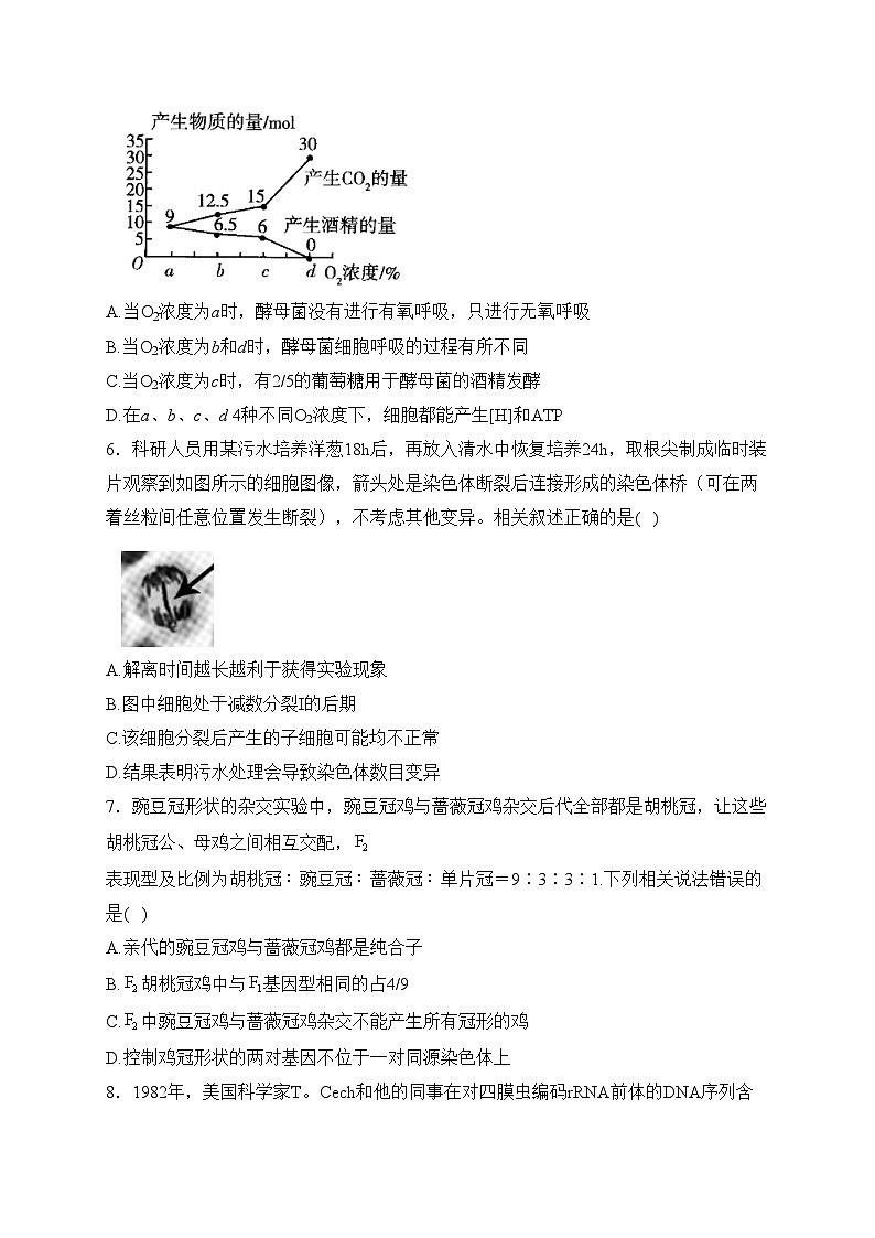 济南市历城第二中学2024届高三上学期入学测试生物试卷(含答案)第3页