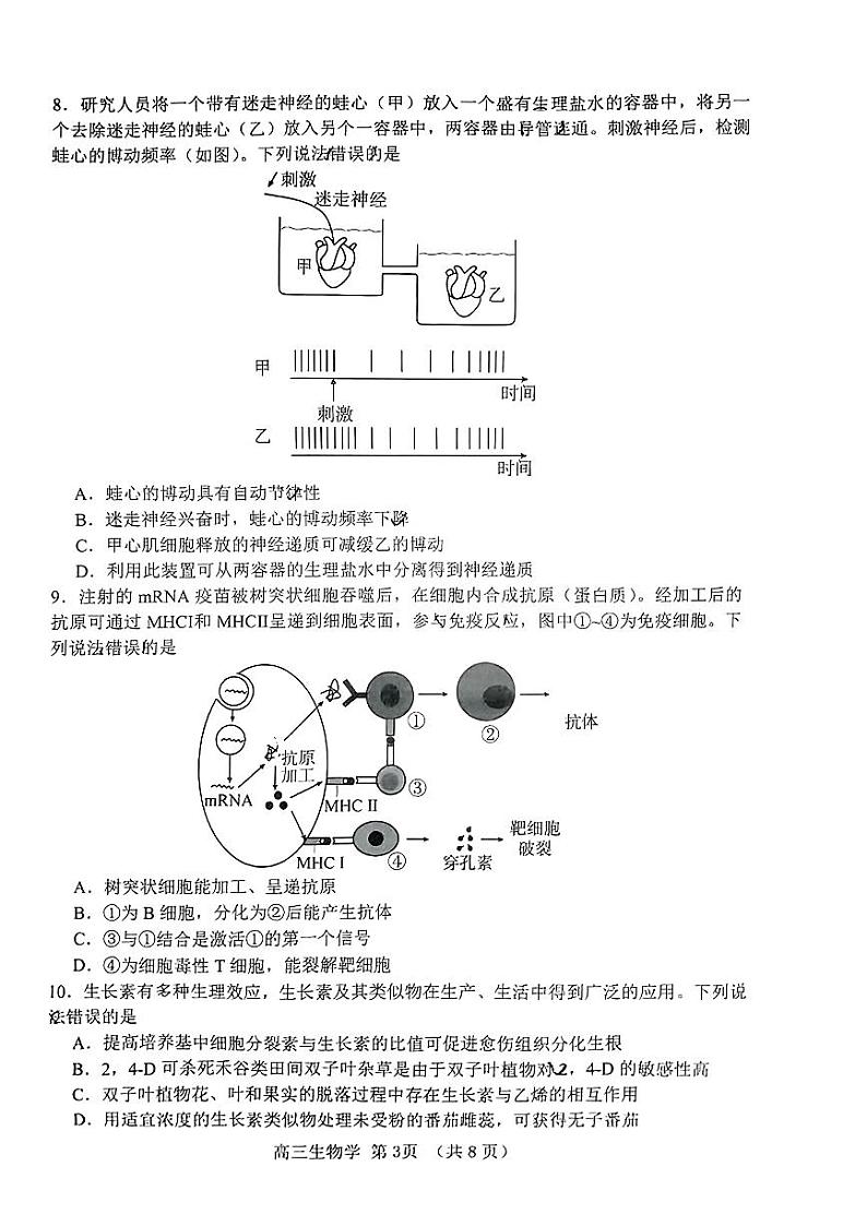 2024届山东省淄博市高三下学期一模考试 生物第3页