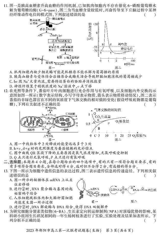 生物试题第3页