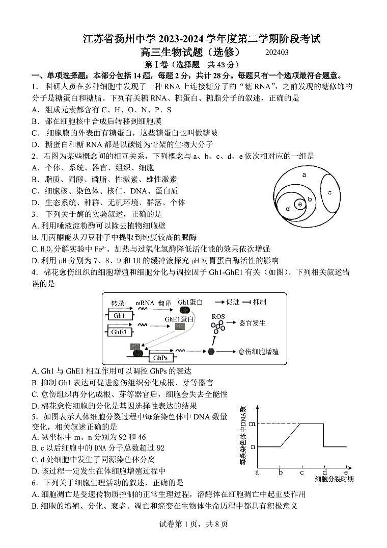 江苏省扬州zx2023-2024高三下学期开学考试生物试卷及答案01