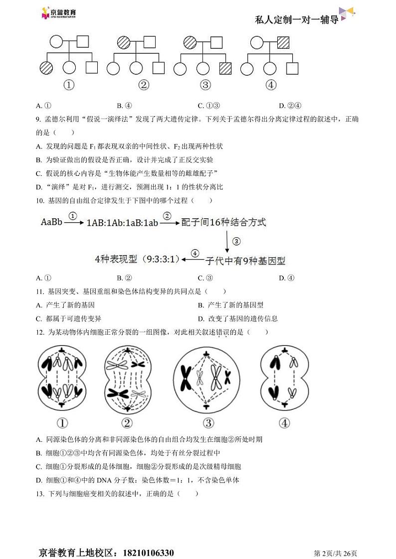 2022北京八十中高一下学期期中生物试卷及答案02