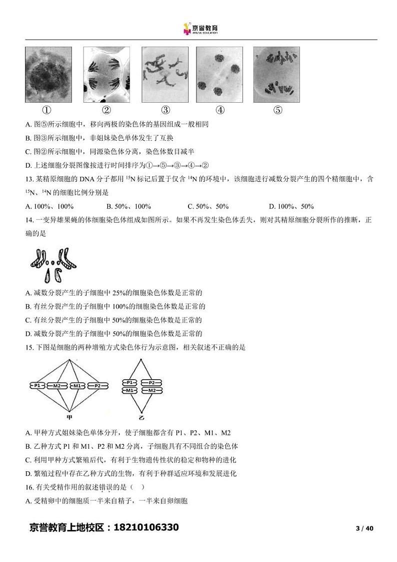 2022北京北师大附中高一下学期期中生物试卷及答案03