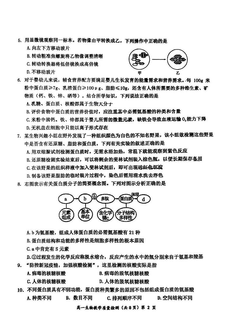 广西壮族自治区防城港市2022-2023年高一上学期期末教学质量检测生物试题第2页