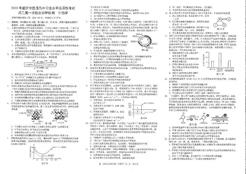重庆市2023届高三第一次联合诊断检测生物试题第1页