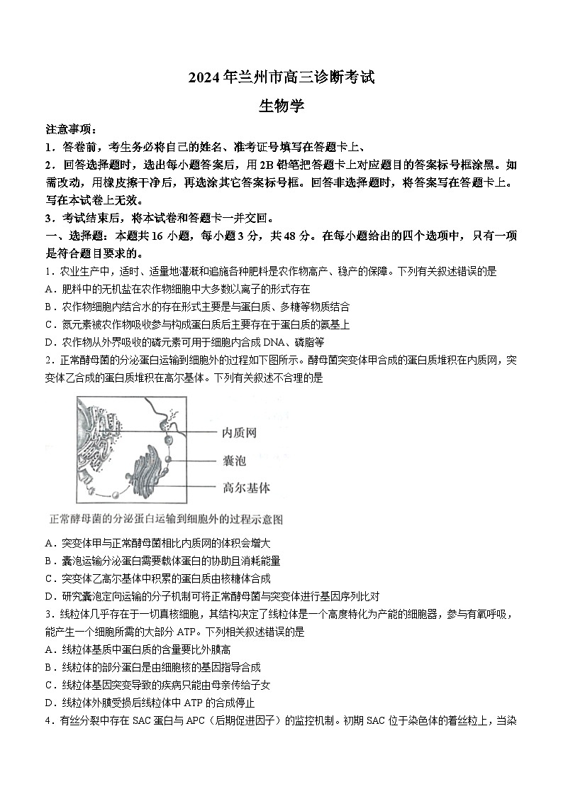 2024届甘肃省兰州市高三下学期诊断考试生物试题(无答案)01