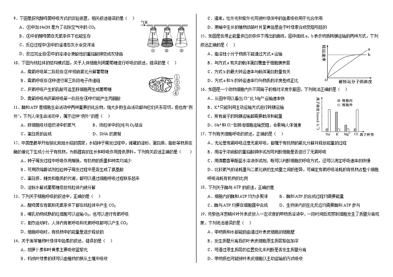 河南省洛阳偃师中成外国语学校2023-—2024学年高一上学期12月月考生物试卷02