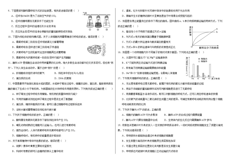 河南省洛阳偃师中成外国语学校2023-—2024学年高一上学期12月月考生物试卷02