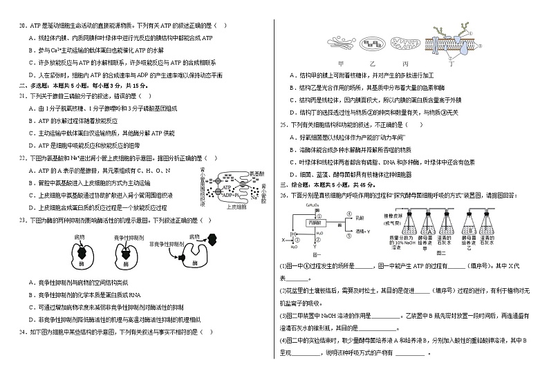 河南省洛阳偃师中成外国语学校2023-—2024学年高一上学期12月月考生物试卷03