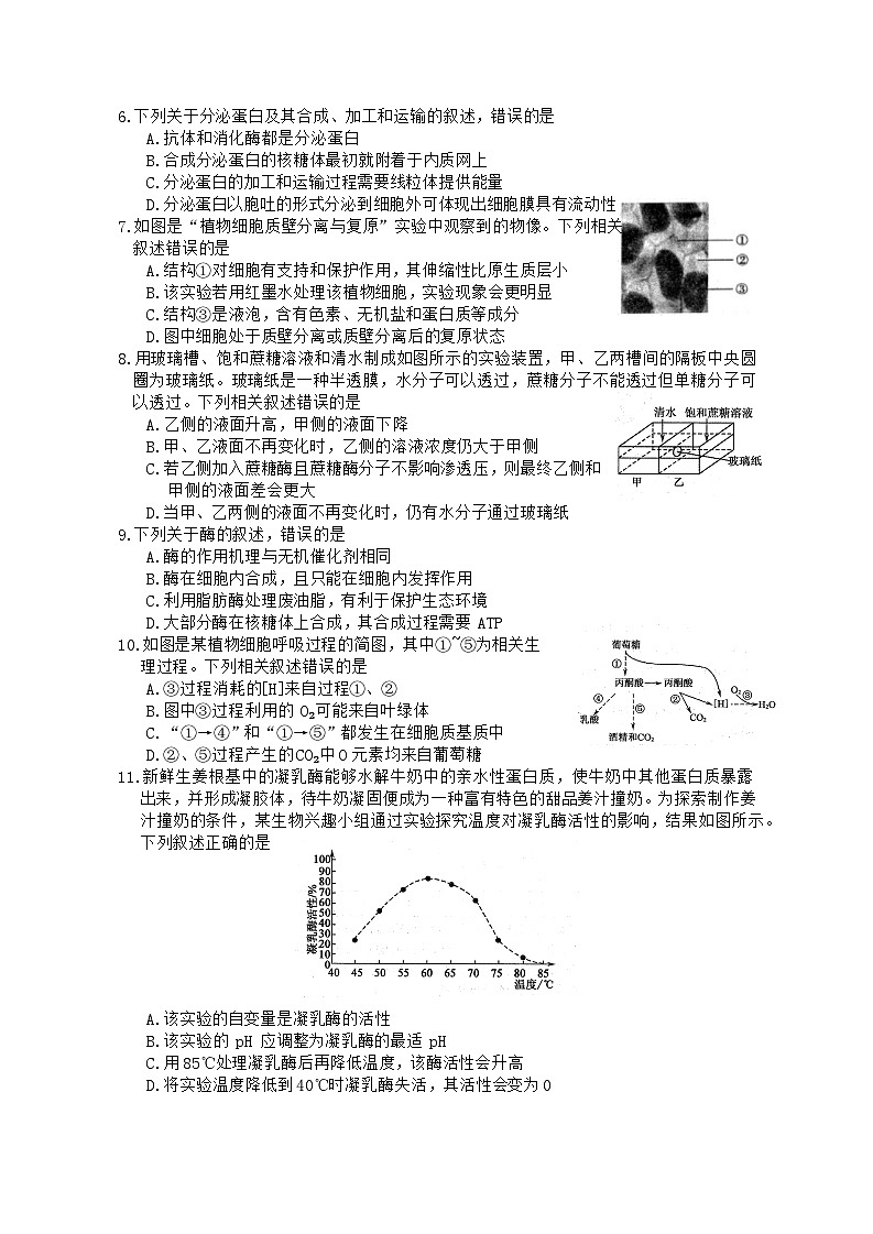 辽宁省朝阳市2023-2024学年高一下学期开学考试生物试题03