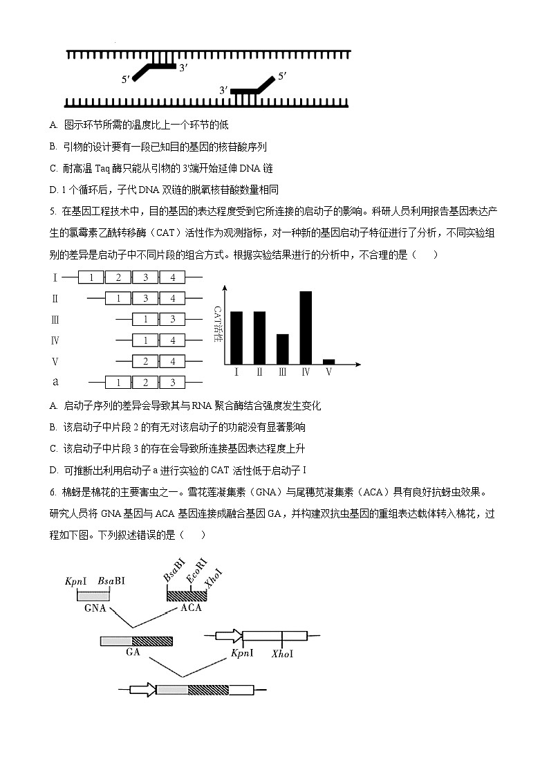 陕西省咸阳市实验中学2022-2023学年高二下学期第二次月考试题生物试卷（Word版附解析）第2页