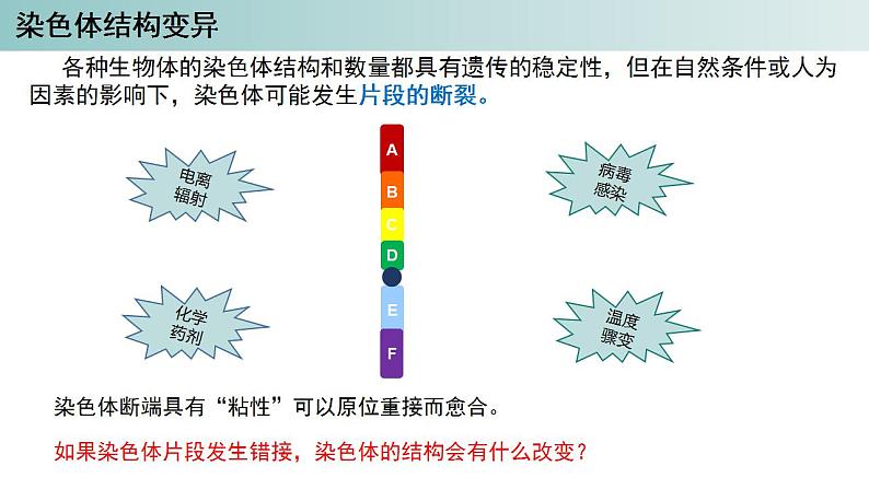 2023-2024学年浙科版（2019）必修2 4.3染色体畸变可能引起性状改变（第1课时）课件02