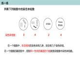 2023-2024学年浙科版（2019）必修2 4.3染色体畸变可能引起性状改变（第2课时）课件
