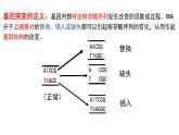 2023-2024学年浙科版（2019）必修2 4.1基因突变可能引起性状改变 课件