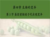 2023-2024学年浙科版（2019）必修2 4.2基因重组使子代出现变异  课件