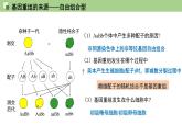 2023-2024学年浙科版（2019）必修2 4.2基因重组使子代出现变异  课件