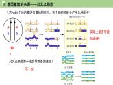 2023-2024学年浙科版（2019）必修2 4.2基因重组使子代出现变异  课件