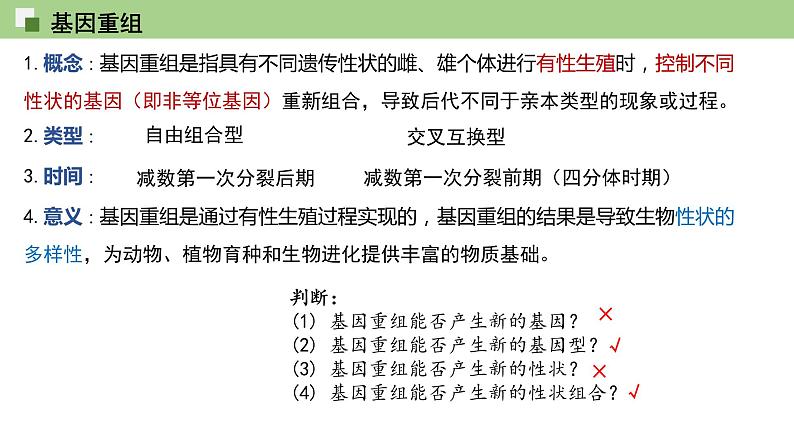 2023-2024学年浙科版（2019）必修2 4.2基因重组使子代出现变异  课件08