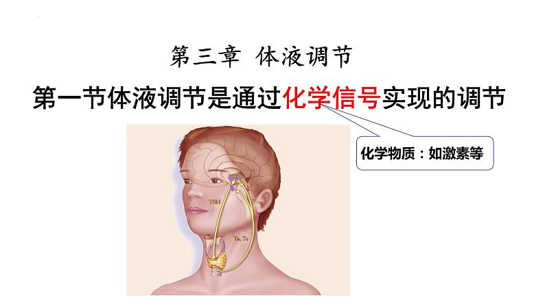 2023-2024学年浙科版（2019）选择性必修1 3.1 体液调节是通过化学信号实现的调节 课件第1页