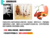 2023-2024学年浙科版（2019）选择性必修1 3.1 体液调节是通过化学信号实现的调节 课件