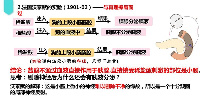 2023-2024学年浙科版（2019）选择性必修1 3.1 体液调节是通过化学信号实现的调节 课件第4页