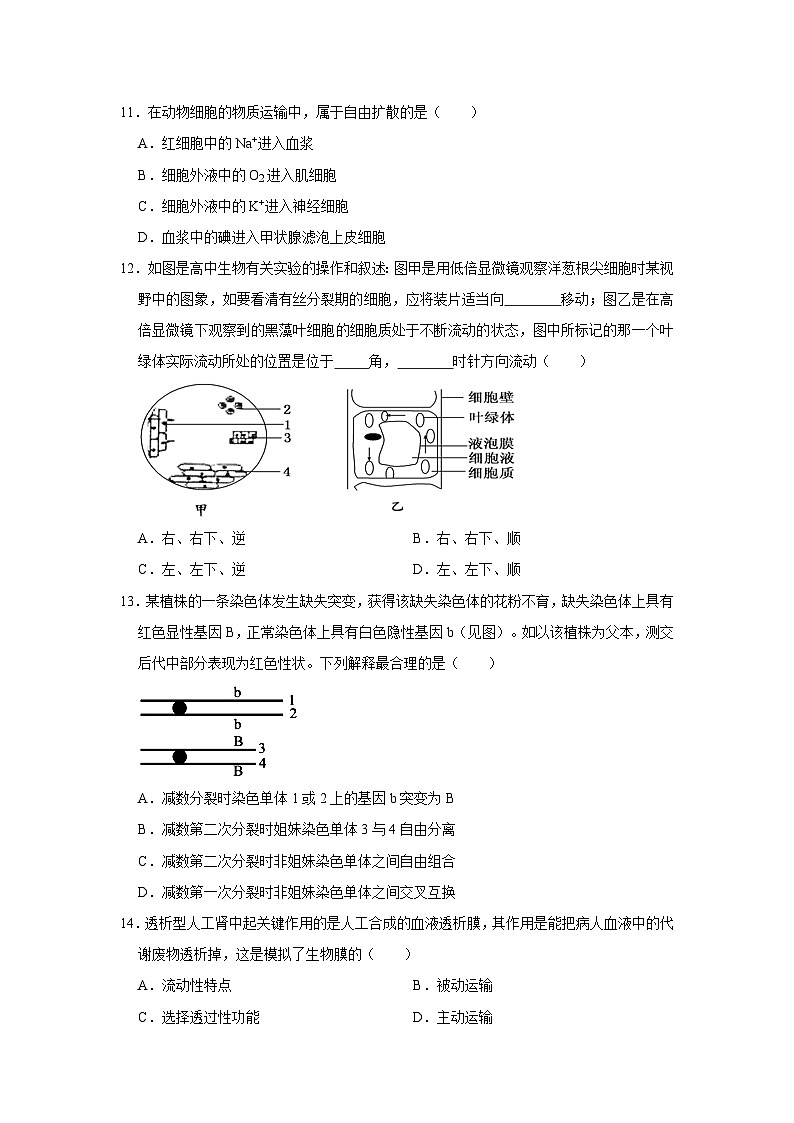 湖南省岳阳市岳阳县第一中学2023-2024学年高二下学期开学考试生物试题03