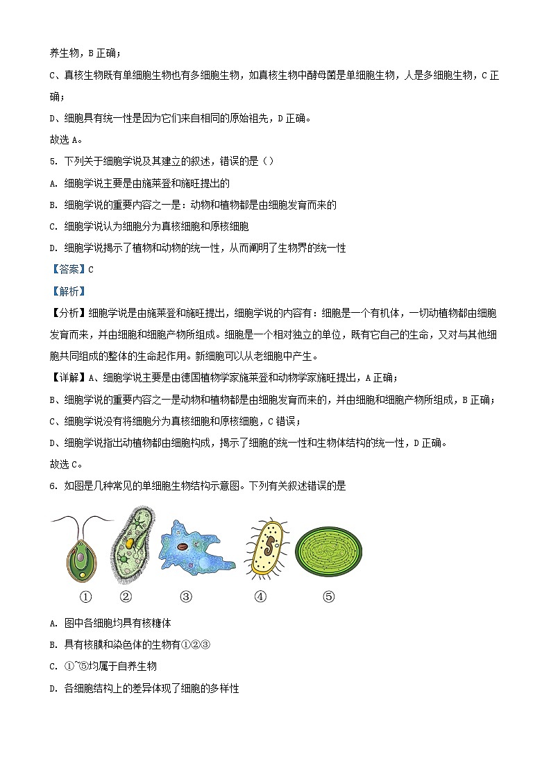 四川省南充市2023_2024学年高一生物上学期10月第一次月考试题含解析第3页