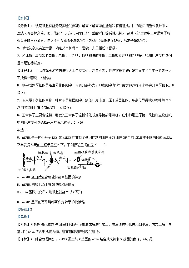 四川省南充市2022_2023学年高三生物上学期第三次模拟考试试题理综含解析第3页