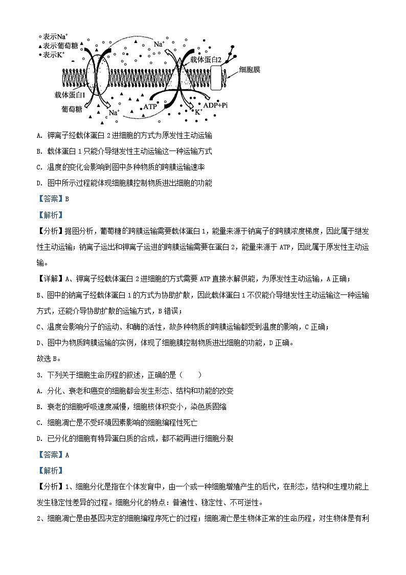 四川省南充市2022_2023学年高三生物下学期第七次月考考试试题理综含解析第2页