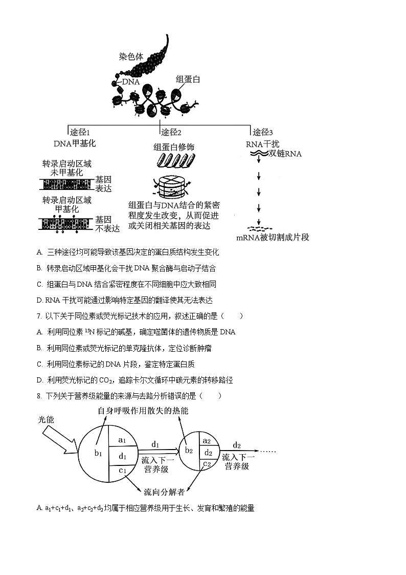 福建省厦门市2023—2024学年高三下学期第二次质量检测生物试题（原卷版）第3页