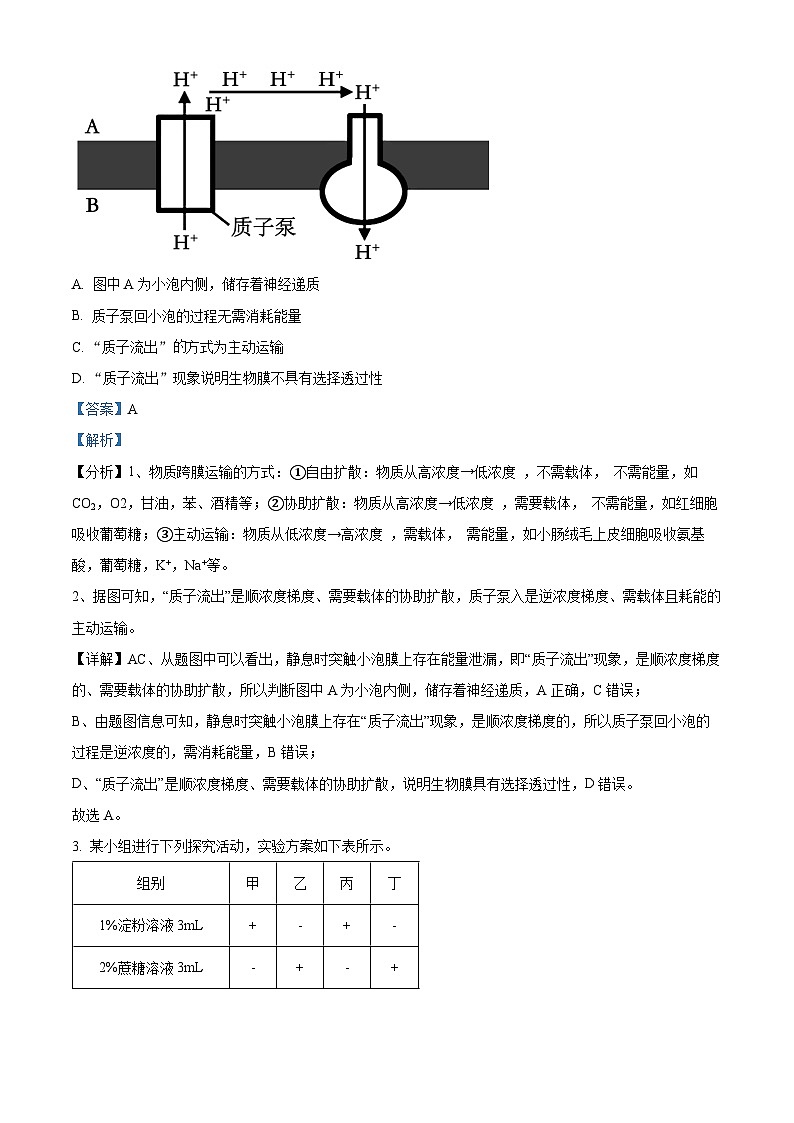 福建省厦门市2023—2024学年高三下学期第二次质量检测生物试题（解析版）第2页