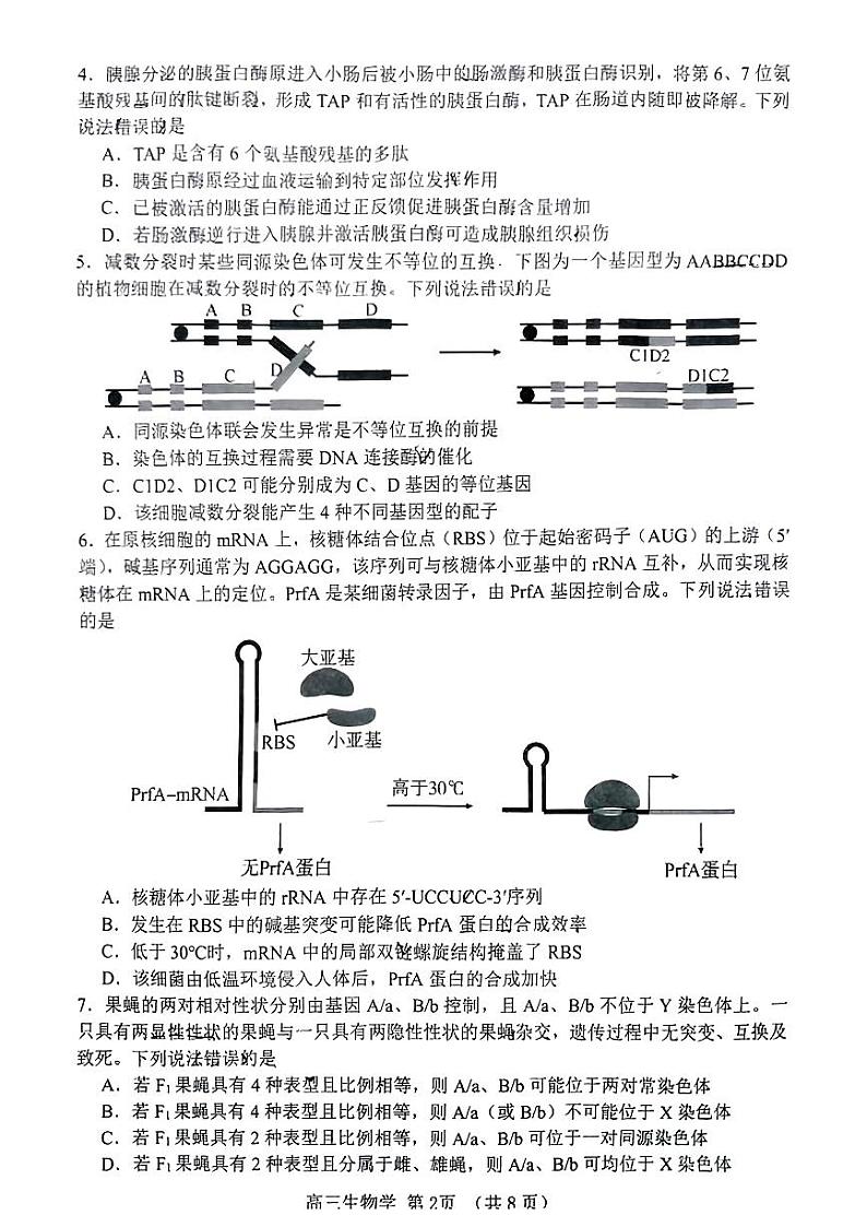 2024届山东省淄博市高三下学期一模考试 生物第2页
