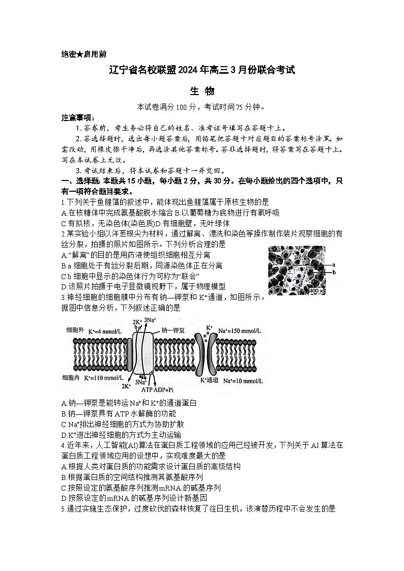 辽宁省名校联盟2023-2024学年高三下学期3月联合考试生物试卷（Word版附解析）第1页