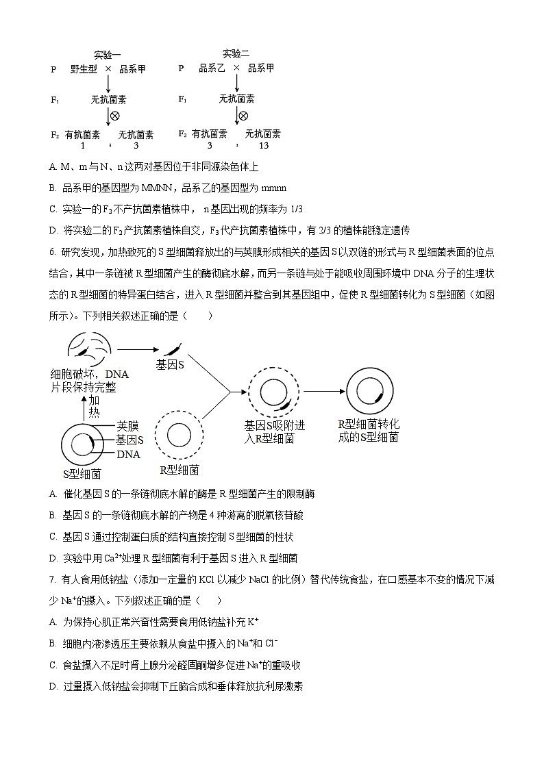 重庆市渝北中学2023-2024学年高三下学期2月月考试题生物试卷（Word版附解析）03