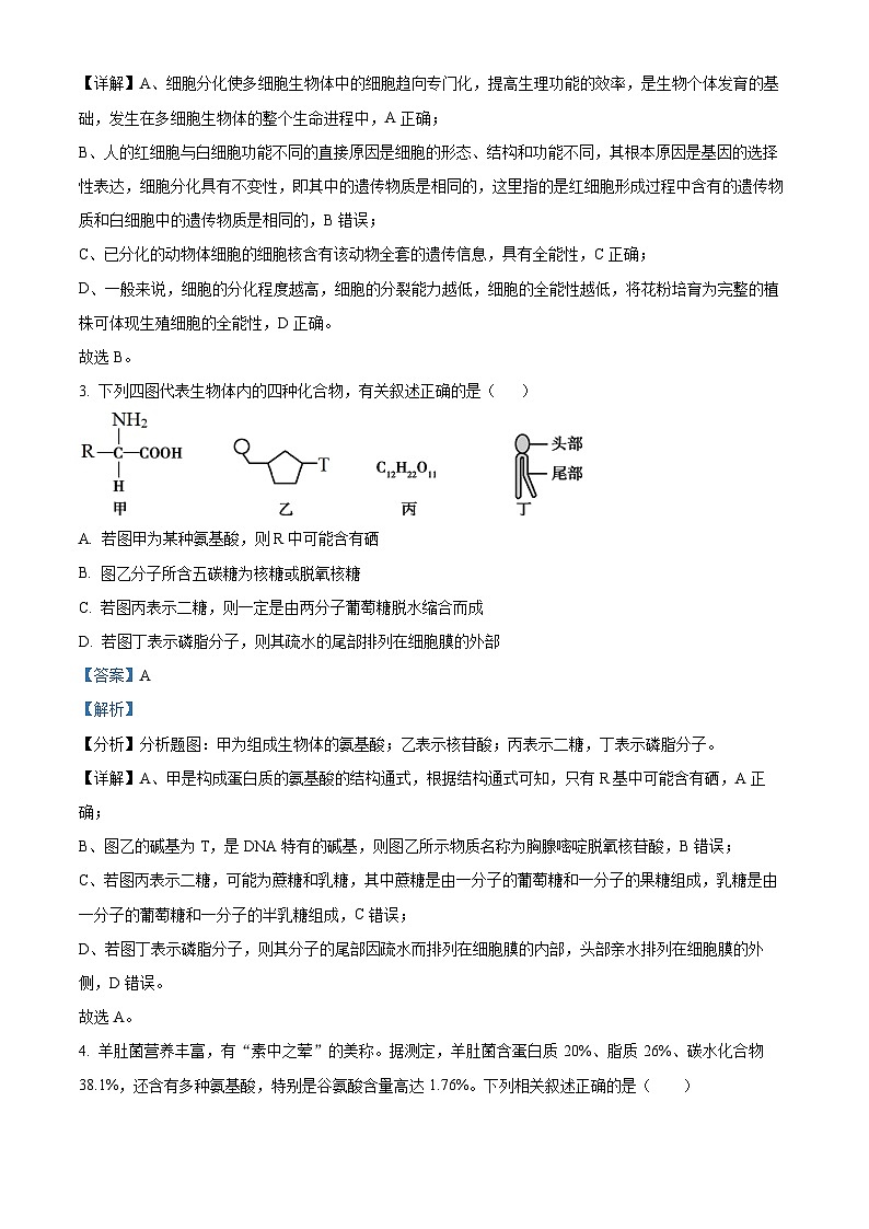 四川省眉山市仁寿第一中学南校区2023-2024学年高一下学期3月月考生物试卷（Word版附解析）02