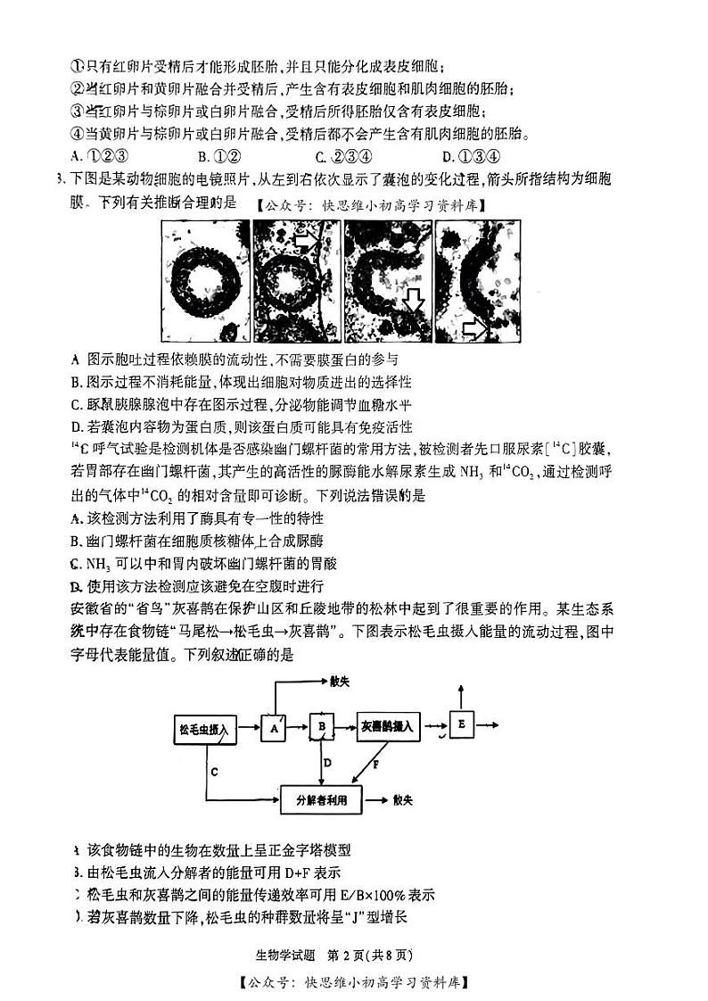合肥一模高三生物试卷第2页