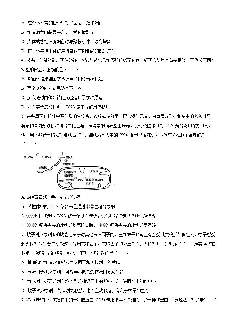 湖南省三湘创新发展联合体2023-2024学年高三下学期开学生物试题（原卷版）第2页