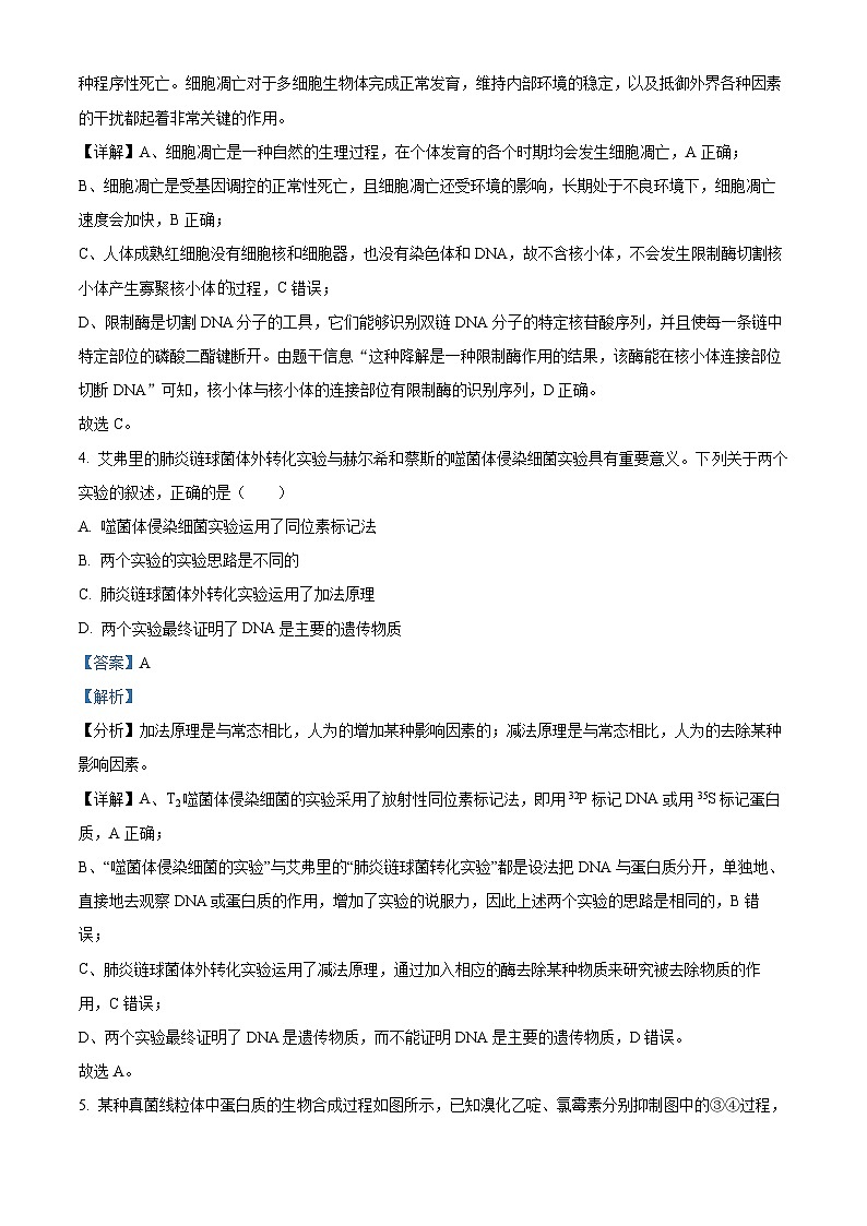 湖南省三湘创新发展联合体2023-2024学年高三下学期开学生物试题 Word版含解析第3页
