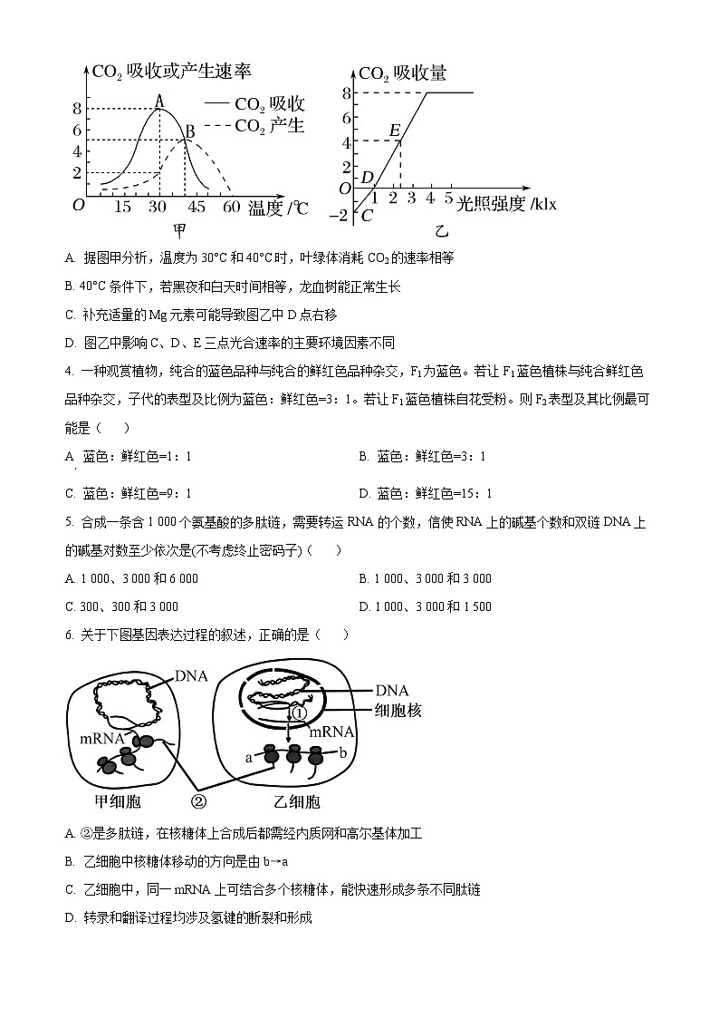 湖南省邵阳市二中等校2023-2024学年高二下学期开学考试联考生物试卷（Word版附解析）02